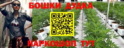 PSILOCYBIN Ипатово