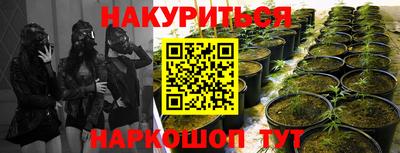 PSILOCYBIN Ипатово