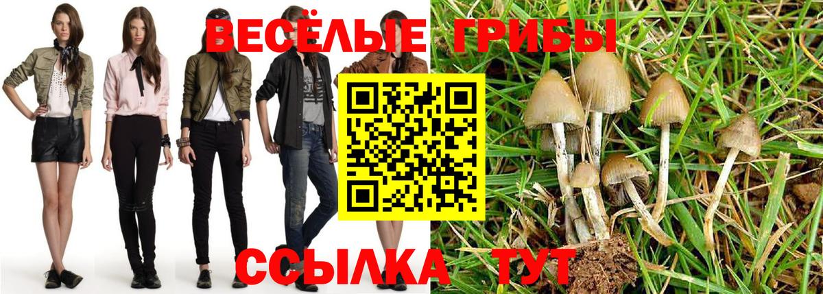 Галлюциногенные грибы Cubensis  Галлюциногенные грибы Magic Shrooms  купить   Курчалой  Вход с VPN 